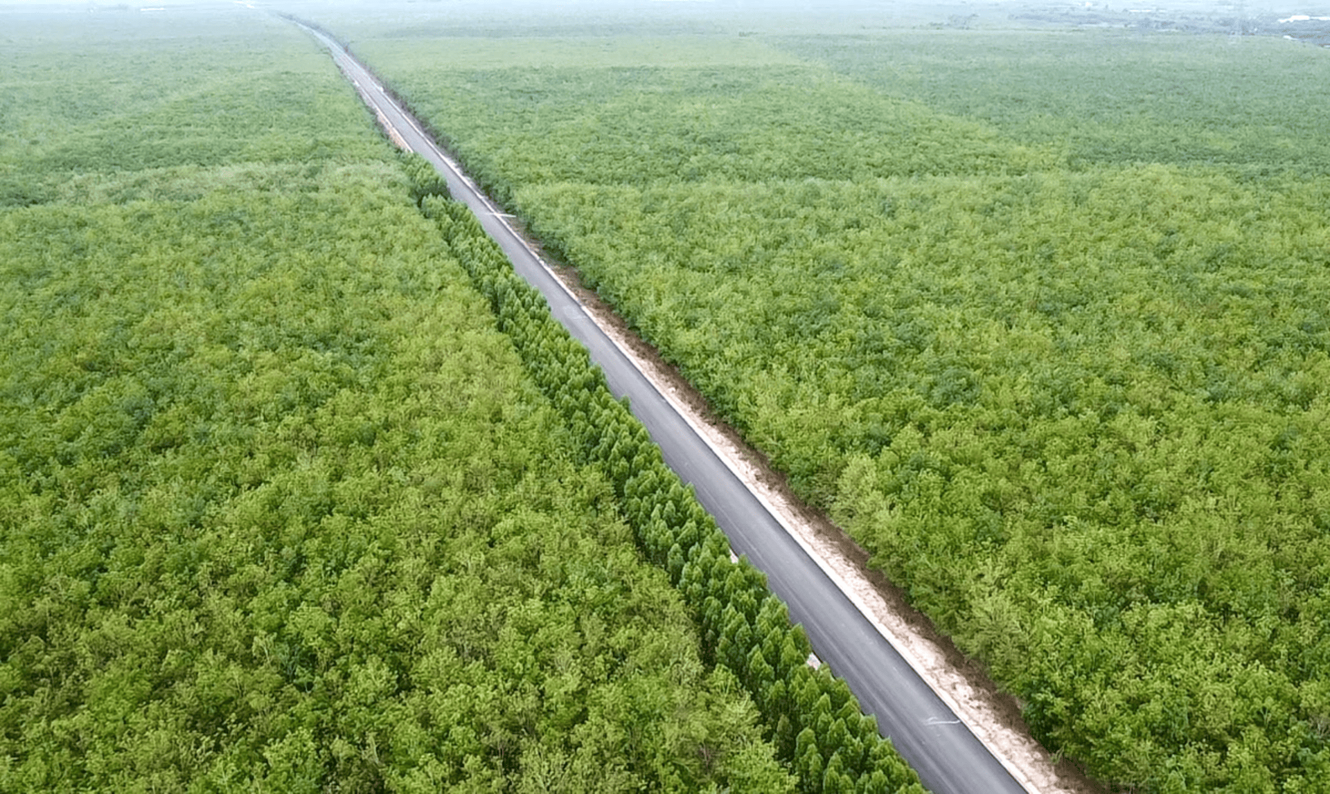 Khởi công, thông xe hai công trình đường bộ phía Nam gần 30.000 tỷ dịp lễ 30/4